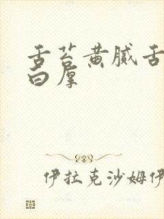 舌苔黄腻舌苔发白厚