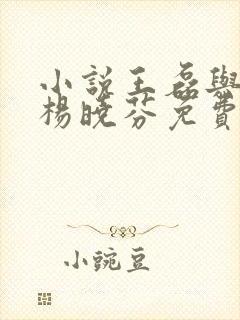 小说王磊与后妈杨晓芬免费阅读