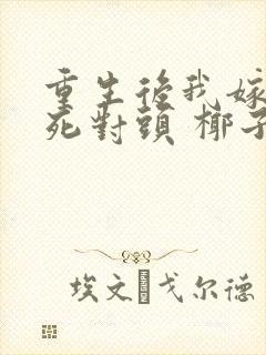 重生后我嫁给了死对头 椰子絮封面