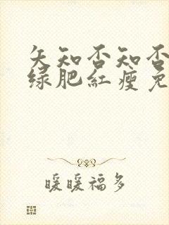 矢知否知否应是绿肥红瘦免费观看全集封面