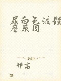 尿白色液体是什么原因