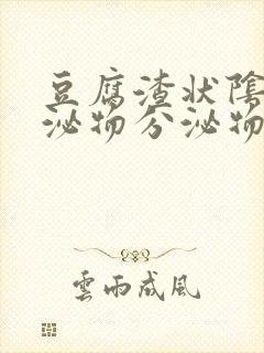 豆腐渣状阴道分泌物分泌物封面