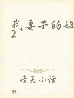 我妻子的姐姐 2