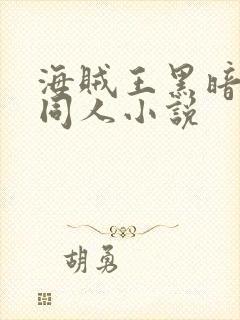 海贼王黑暗后宫同人小说封面