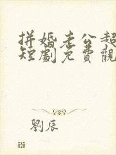 拼婚老公超能力短剧免费观看全集