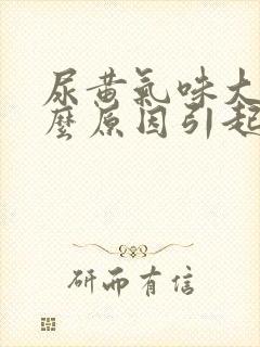 尿黄气味大是什么原因引起的