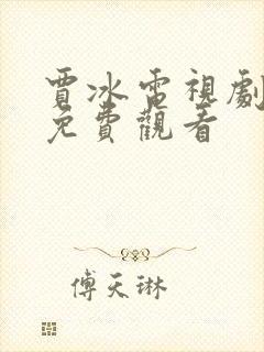 贾冰电视剧全集免费观看