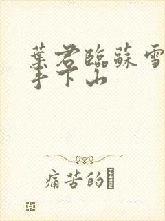 叶君临苏雪儿高手下山