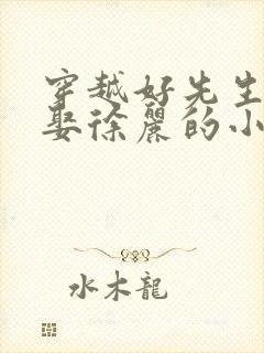 穿越好先生开局娶徐丽的小说