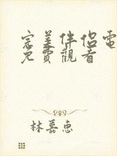 完美伴侣电视剧免费观看