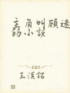 主角叫顾远夏婉的小说封面