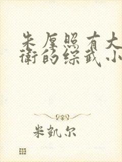 朱厚照有大明暗卫的综武小说