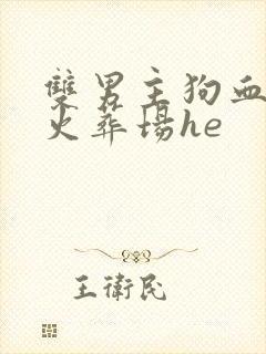 双男主狗血追妻火葬场he