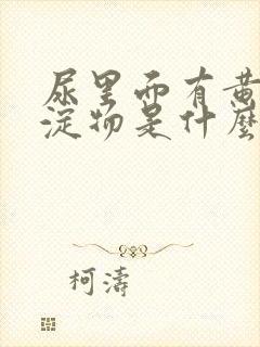 尿里面有黄色沉淀物是什么原因