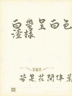 白带呈白色豆腐渣样