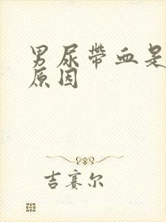 男尿带血是什么原因