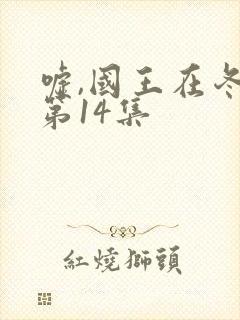 嘘,国王在冬眠第14集