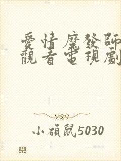 爱情魔发师免费观看电视剧全集