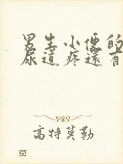 男生小便的时候尿道疼还有流脓封面