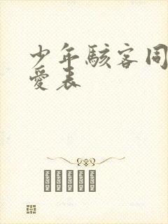 少年骇客同人,爱表
