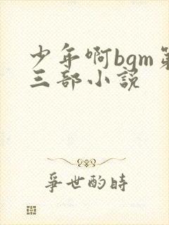 少年啊bgm第三部小说