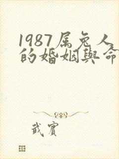 1987属兔人的婚姻与命运如何