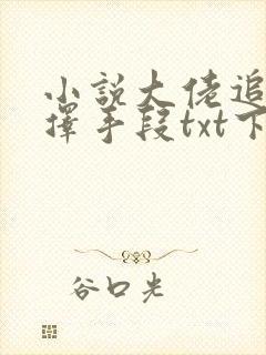 小说大佬追妻不择手段txt下载