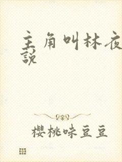 主角叫林夜的小说