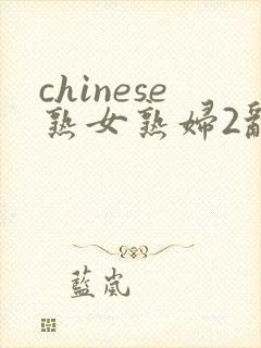 chinese熟女熟妇2乱2封面