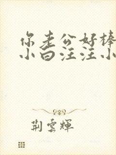 你老公好棒by小白汪汪小说