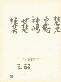 绝世神皇楚风楚芸楚鸿飞免费阅读