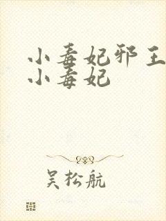 小毒妃邪王夜宠小毒妃封面