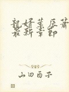 龙婿叶辰萧初然最新章节