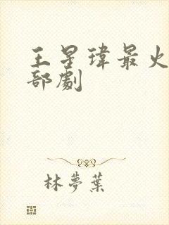 王星玮最火的三部剧