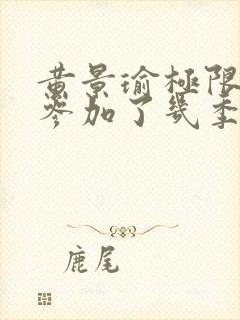 黄景瑜极限挑战参加了几季