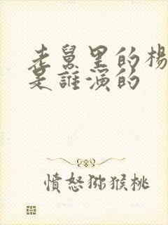 老舅里的杨小姐是谁演的