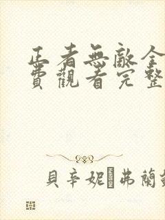 正者无敌全集免费观看完整版高清