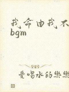 我命由我不由天bgm