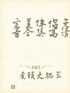 完美伴侣免费观看全集高清版电视剧