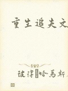 重生追夫文封面