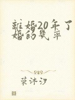 离婚20年了复婚的几率