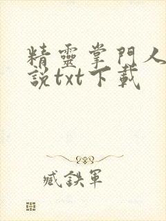 精灵掌门人 小说txt下载