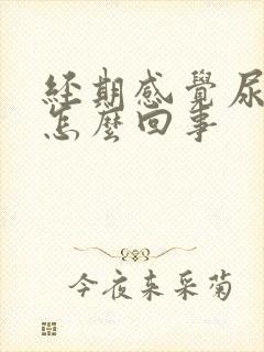 经期感觉尿频是怎么回事