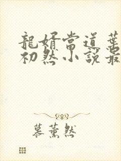 龙婿当道叶辰萧初然小说最新章节