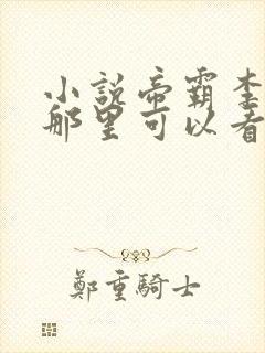 小说帝霸李七夜那里可以看