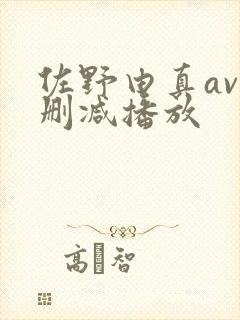 佐野由真av无删减播放