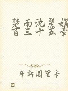 楚南沈丽娟第三百三十五章大结局