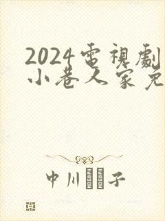 2024电视剧小巷人家免费播放
