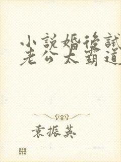 小说婚后试爱:老公太霸道最新章节