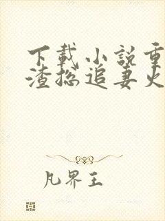 下载小说重生后渣总追妻火葬场